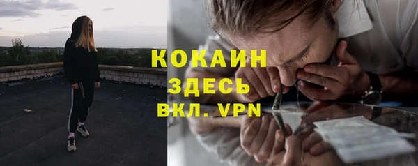 мескалин Дмитриев