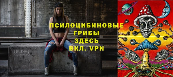 spice Дмитровск